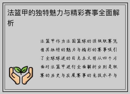 法篮甲的独特魅力与精彩赛事全面解析